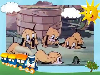 Kid's Cartoons Pluto's Quin Puplets