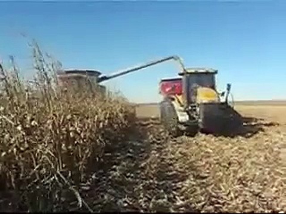 Corn Harvest In Iowa