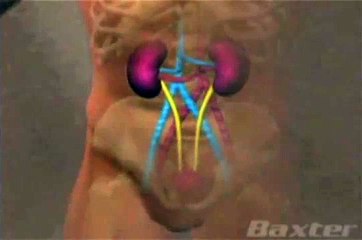 Kidney Functions in the Body