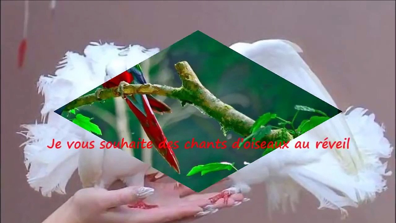 JE VOUS SOUHAITE DE JACQUES BREL