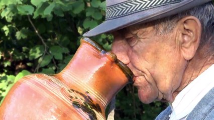 Lucian Dragan - De-ar sti cucul, sa vorbeasca