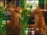 Garfield's - Dancing Cha cha mix 1