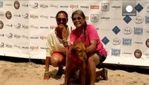 10. Surf Dog Competition: Wellenreiten auf vier Beinen in Kalifornien