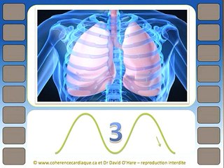Cohérence Cardiaque - vidéo 3