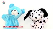 Itsy Bitsy Spider Incy Wincy Spider - Funny Giant Panda and Puppy Dog puppets children rhymes