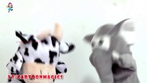 Itsy Bitsy Spider Incy Wincy Spider  - Funny Cattle cow Elephant puppets children rhymes Kids rhymes