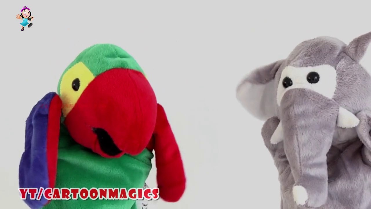 Itsy Bitsy Spider Incy Wincy Spider  - Funny Parrot & Elephant puppets Kids rhymes