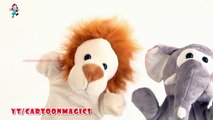 Itsy Bitsy Spider Incy Wincy Spider - Funny  Lion and Elephant puppets children rhymes Learning English Kids Songs
