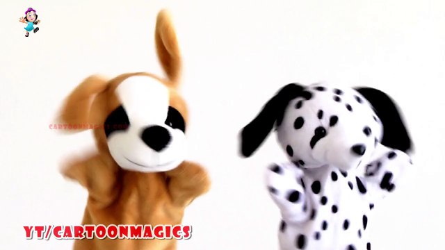 Itsy Bitsy Spider Incy Wincy Spider - Funny Puppy Dog & Cute Dog puppets Kids Songs