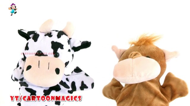 Itsy Bitsy Spider Incy Wincy Spider - Funny Cattle cow - Hippopotamus puppets children rhymes Kids Songs