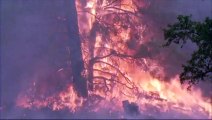 Un pompier tué dans les incendies qui ravagent la Californie