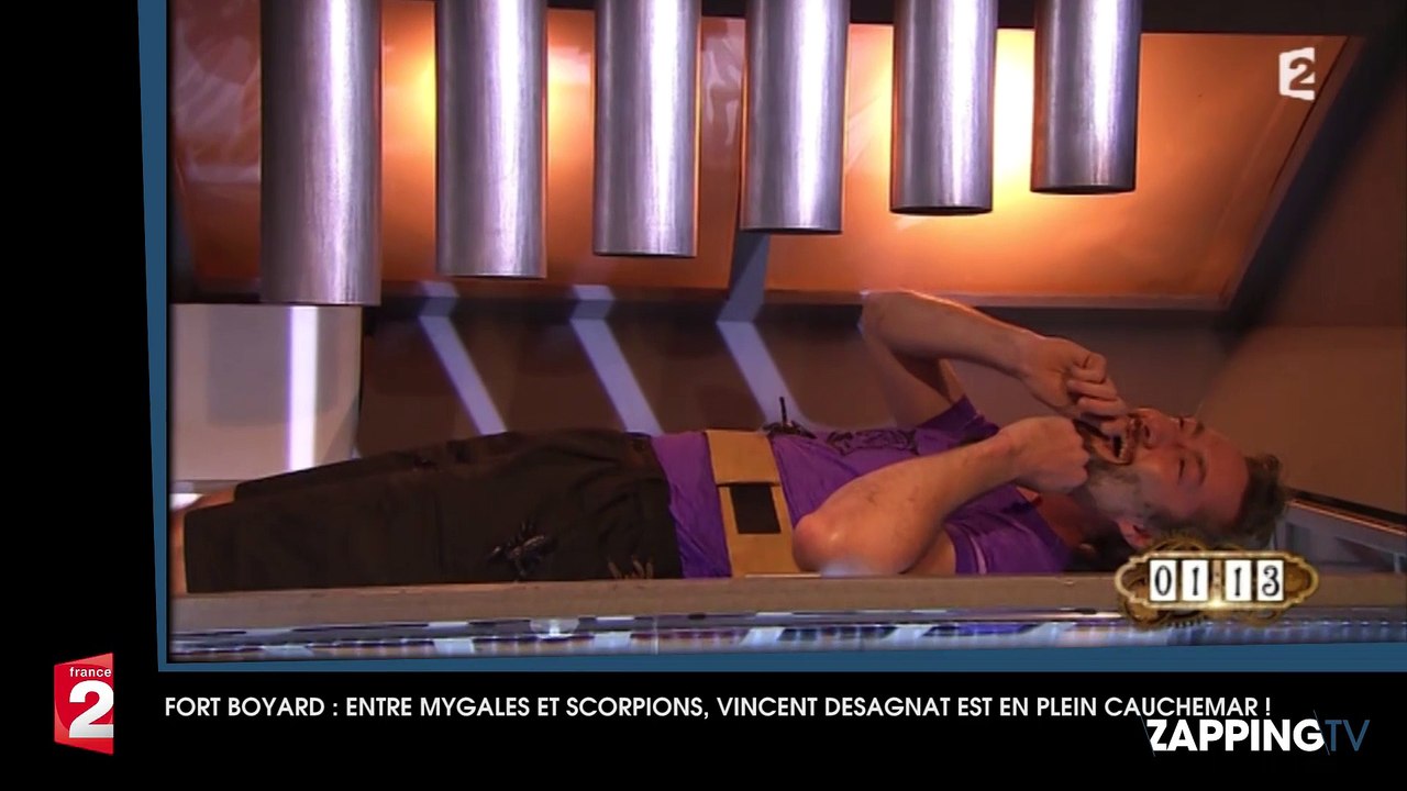 Fort Boyard : Entouré de mygales et de scorpions, Vincent Desagnat vit un véritable enfer !