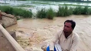 Flood in Dera Ghazi Khan August 2015