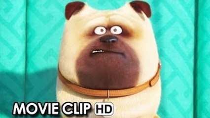 Meet Mel from 'The Secret Life Of Pets' (2016) HD