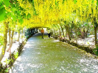 Happy Monday !!! Take it easy