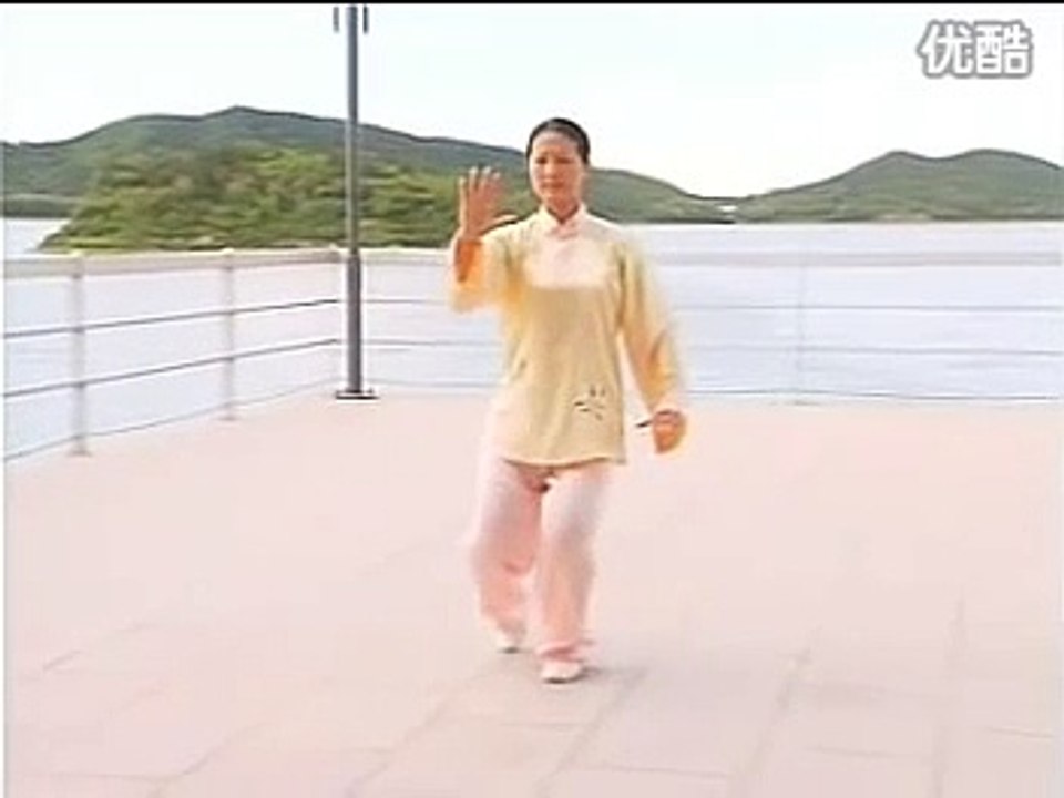 吴阿敏孙式七十三式太极拳背面