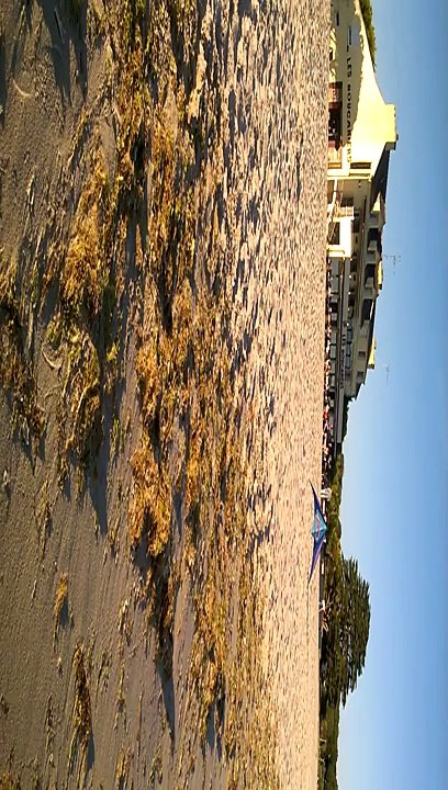 Cerf volant à La Forêt-Fouesnant 01 08 2015 #3