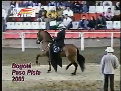 Colombian Trote and Gallop Trote y Galope Colombiano