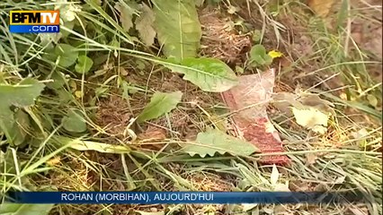 Morbihan: quatre adolescents meurent dans l'accident d'une fourgonnette