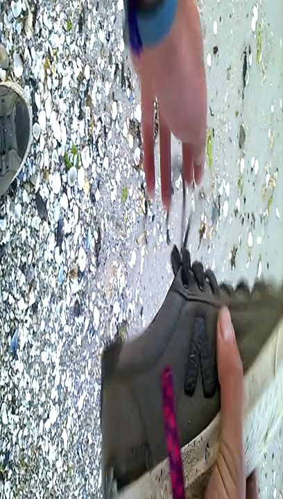 Cerf volant à La Forêt-Fouesnant 01 08 2015 #4