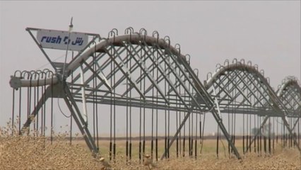 منطقة ربيعة بالعراق تنهكها حرب البشمركة وتنظيم الدولة