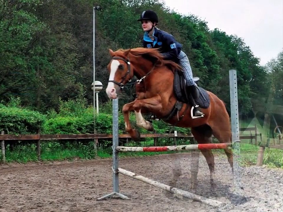 Bitloos Paardrijden - Bitless Horse riding