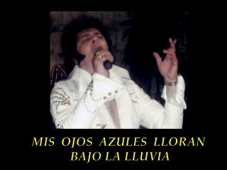 Blue eyes crying in the rain- Marco T