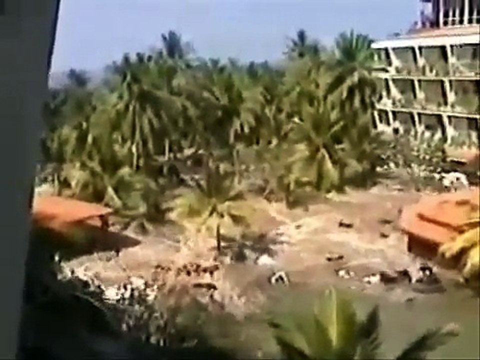 Tsunami 2004