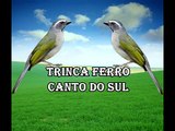 Trinca Ferro Canto do Sul