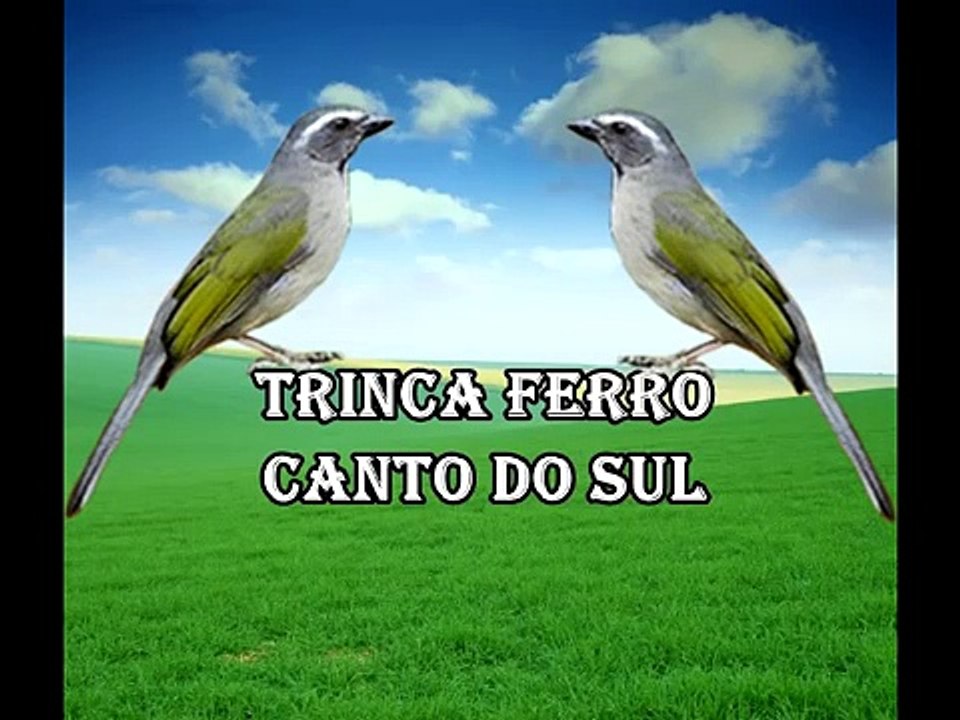 Trinca Ferro Canto do Sul