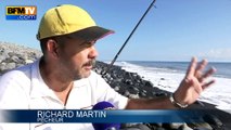 MH 370: chasse au trésor sur les plages de La Réunion pour retrouver des débris