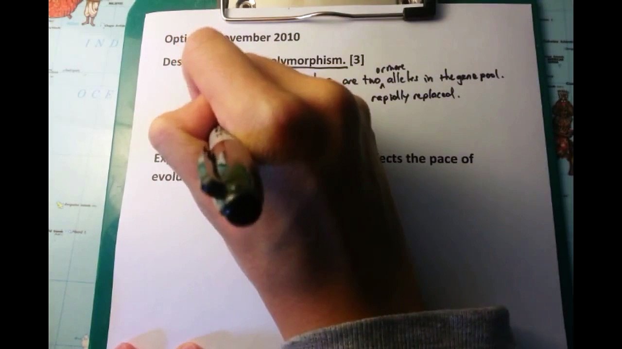 IB SL Biology Past Paper 3 Question 3 - Option D [Punctuated Equilibrium]