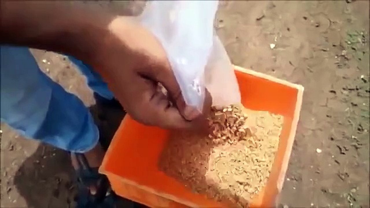 Manual Seed Drill by Dharti Agro Engineering