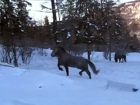 Dimmu-Borgir fra Langsø, januar 2007.