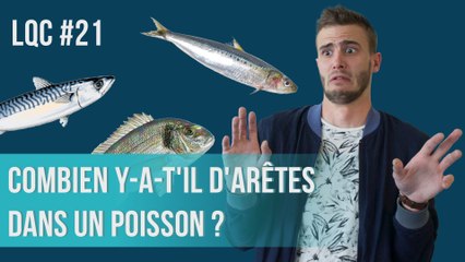 Combien y a-t-il d'arêtes dans un poisson ? LQC #21