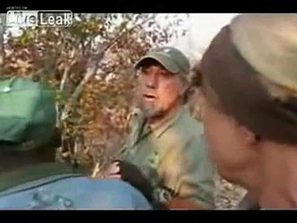 Lion attacks in Australia – Complete collection