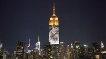 Notes from All Over - Endangered Species Light Up the Empire State Building