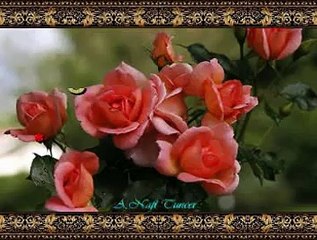 Sibel GÜZEL *Bahar Geldi Gül Açtı*