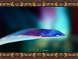 İzzet ALTINMEŞE *Yaş Destanı*