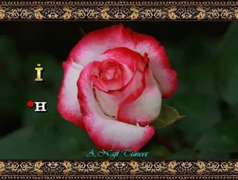 İzzet ALTINMEŞE *Hele Yâr Yâr Zâlim Yâr* (3)