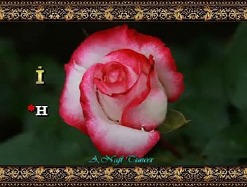 İzzet ALTINMEŞE *Hele Yâr Yâr Zâlim Yâr* (3)