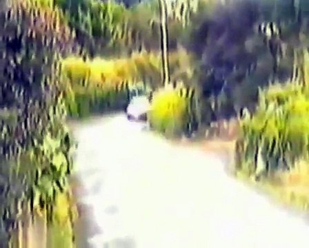 1984 Rally Vinho Madeira (madeira wine rally)