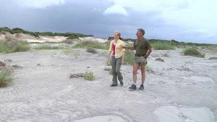 Best of Cumberland Island National Seashore