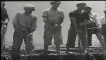 Stromboli - Roberto Rossellini (1950)