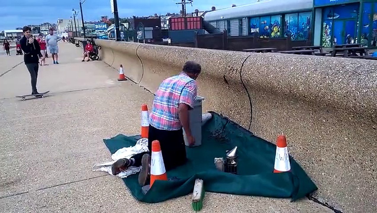 Un apiculteur vient retirer un essaim d'abeilles en pleine ville