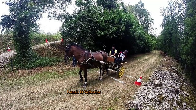 Trec en attelage Fain les Montbard 2015