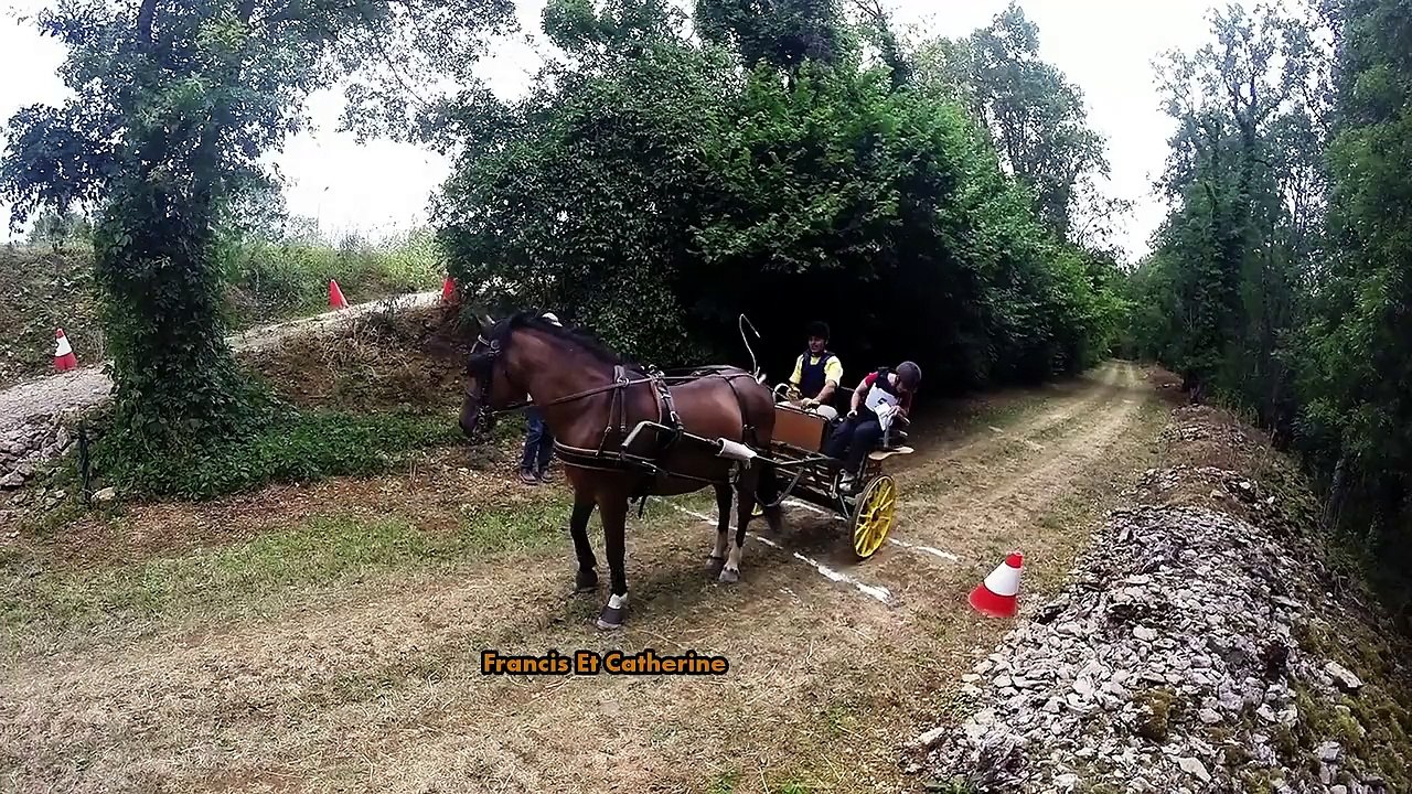 Trec en attelage Fain les  Montbard 2015