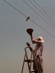 Ik Shook Kaboter Bazi Daa (pigeons Lover)