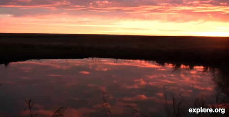 Grasslands Plains Bison Watering Hole Sunrise 10 22 2013 743am