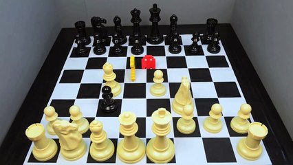 "Check Animate" - A Stop Motion Chess Animation